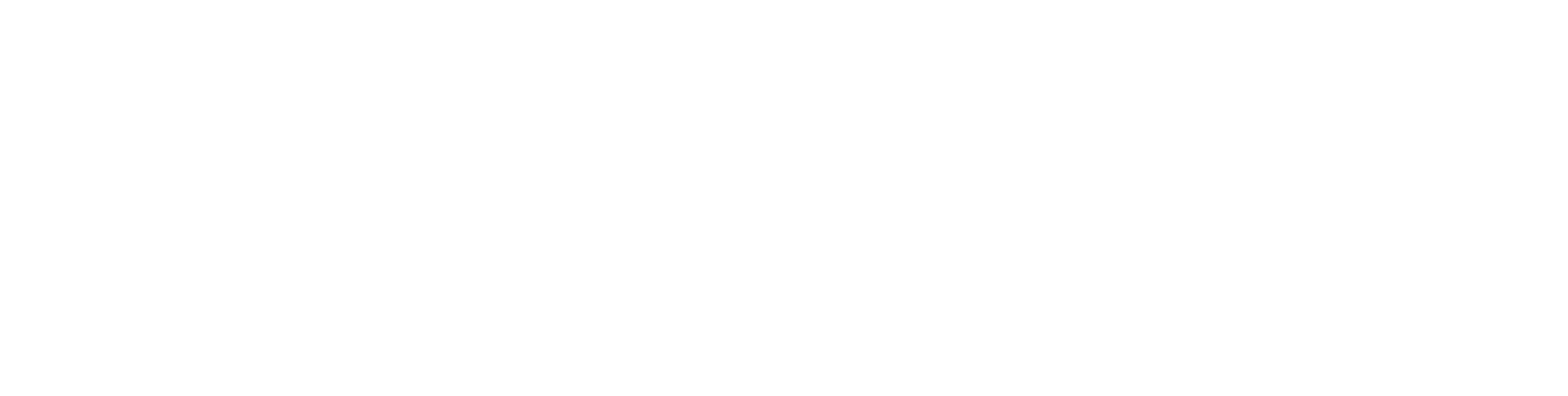 Logo ACERGUA
